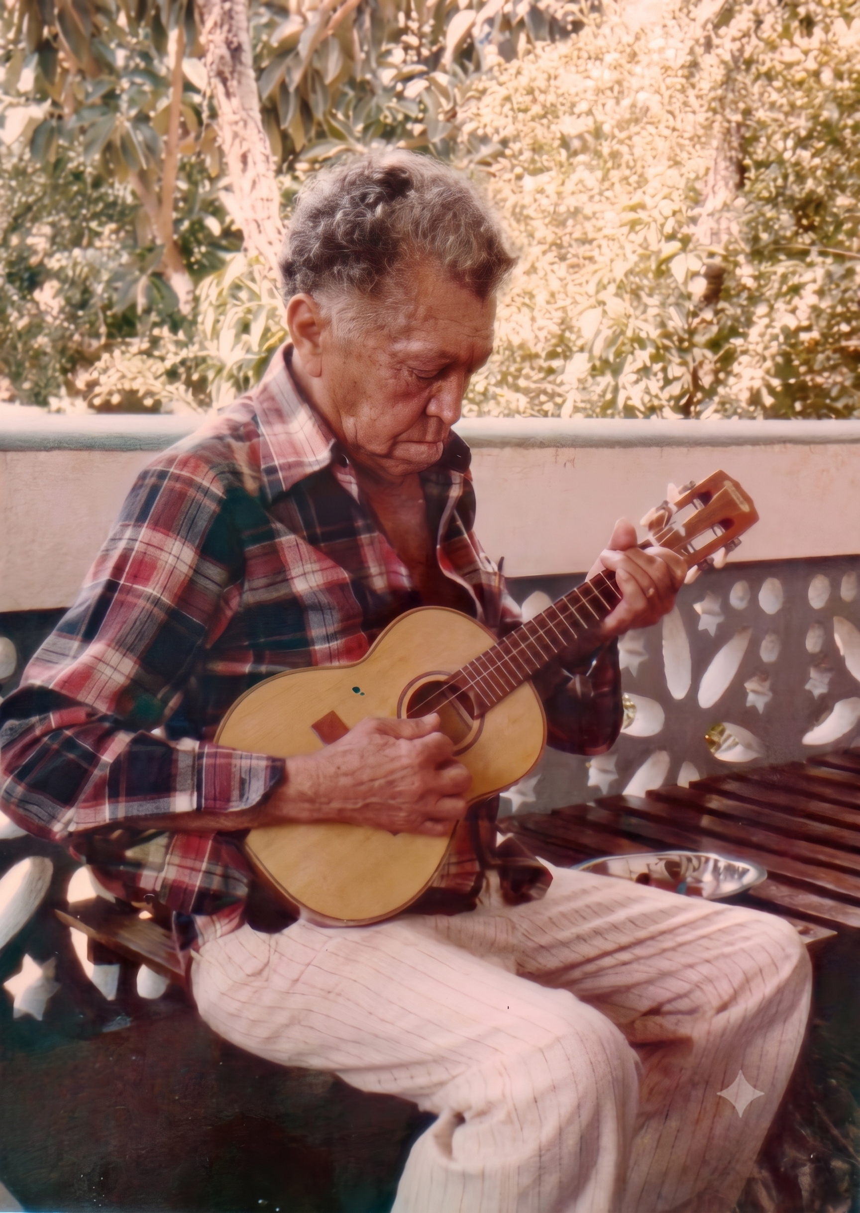 Zé do Cavaquinho