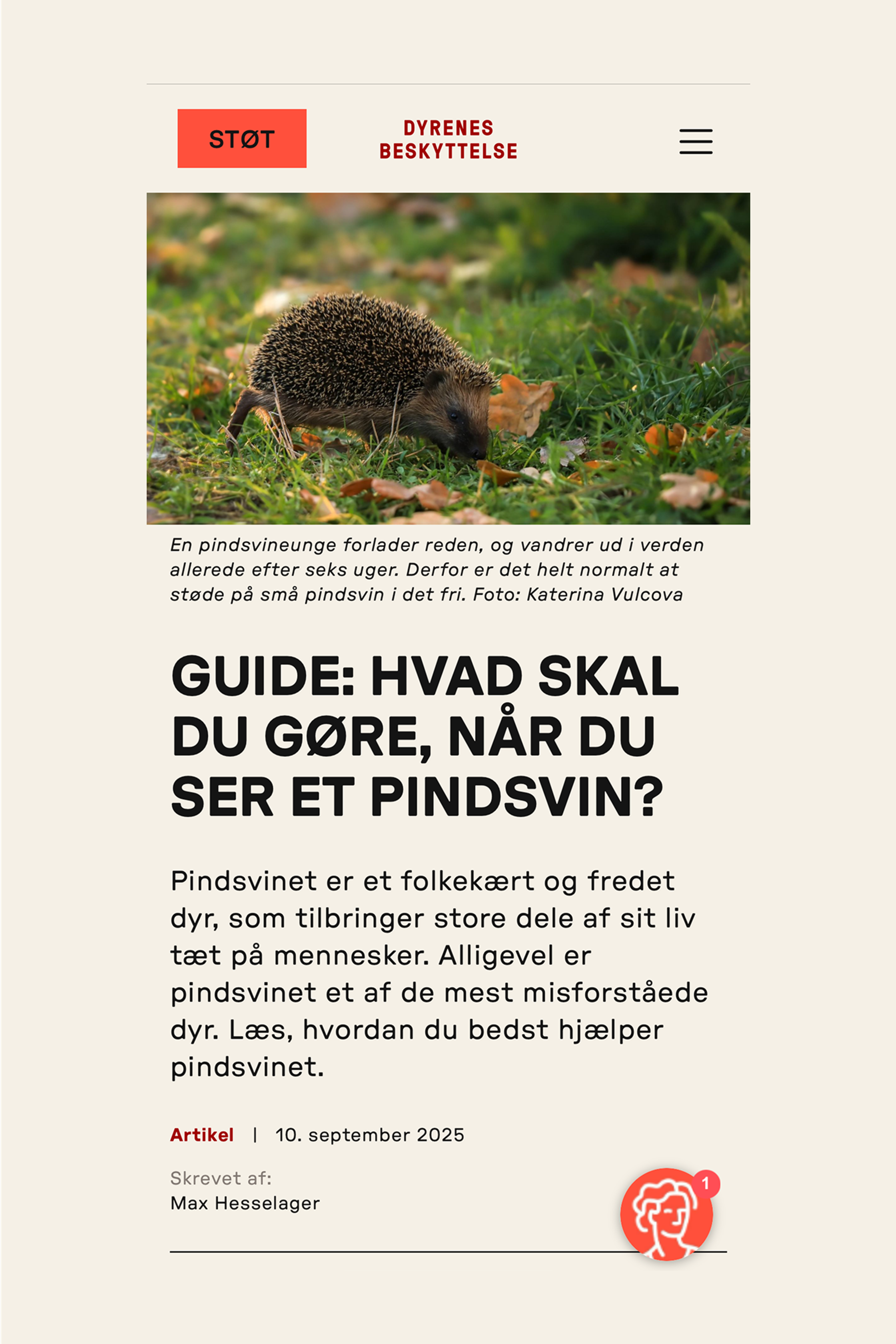 a guide on the website