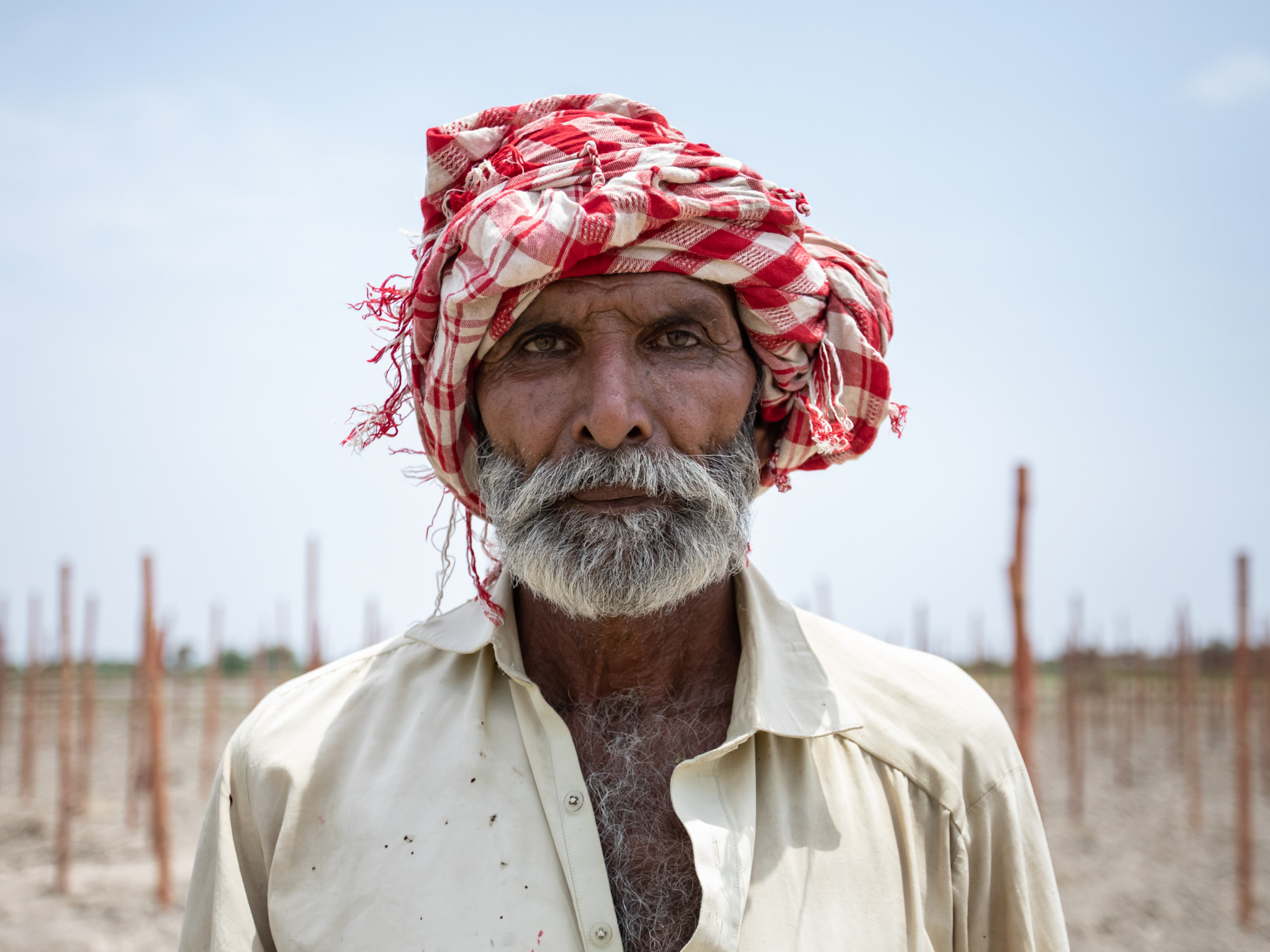 a bearded man