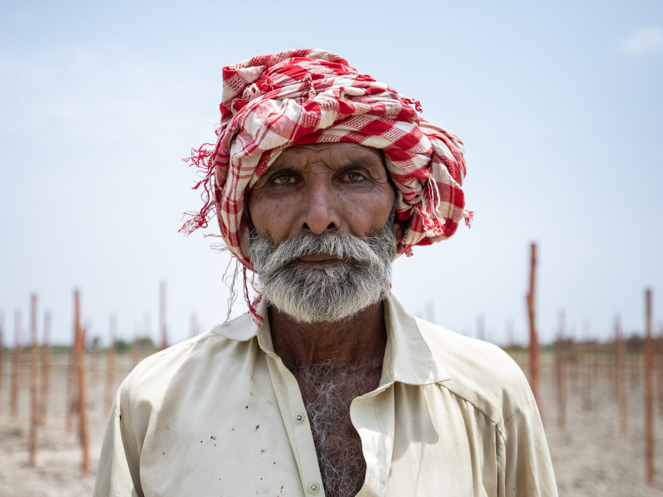 a bearded man