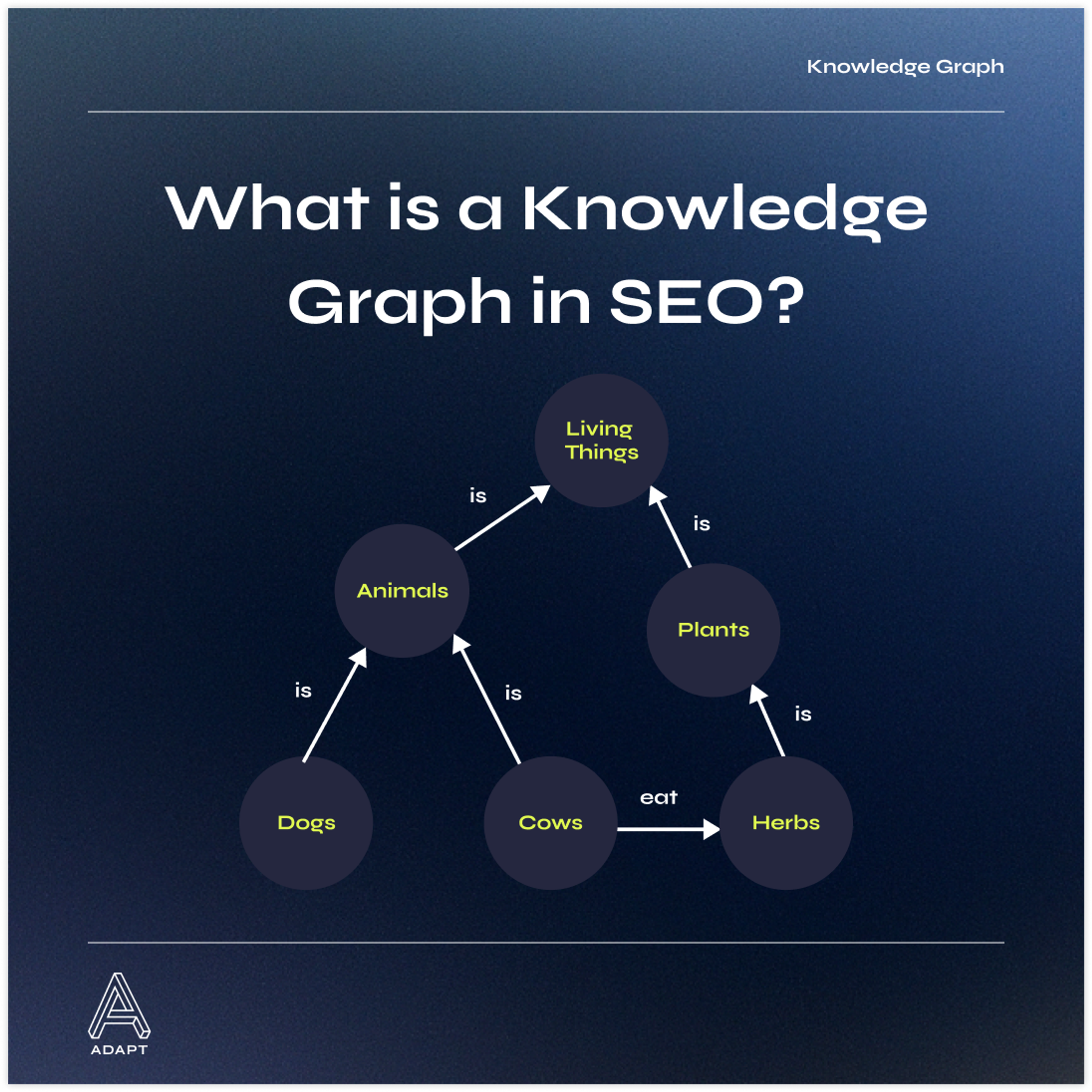 What is a Knowledge Graph in SEO?