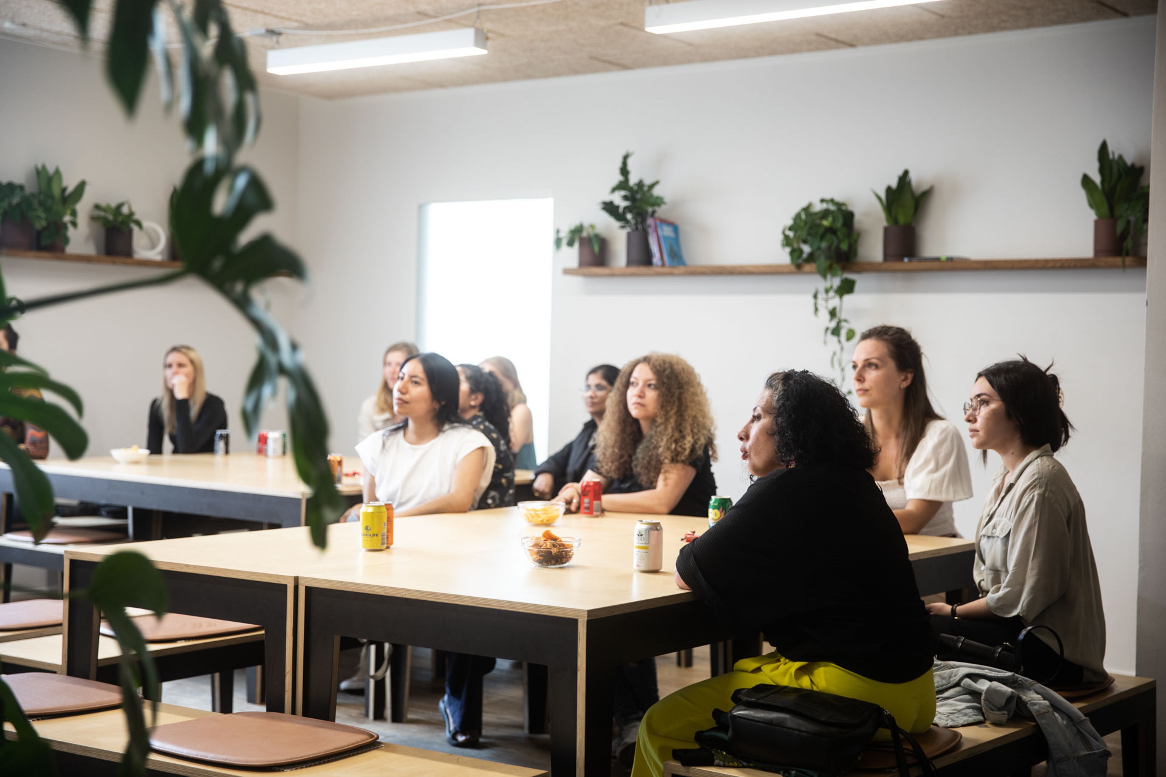 Supporting digital empowerment for women with refugee and migrant backgrounds