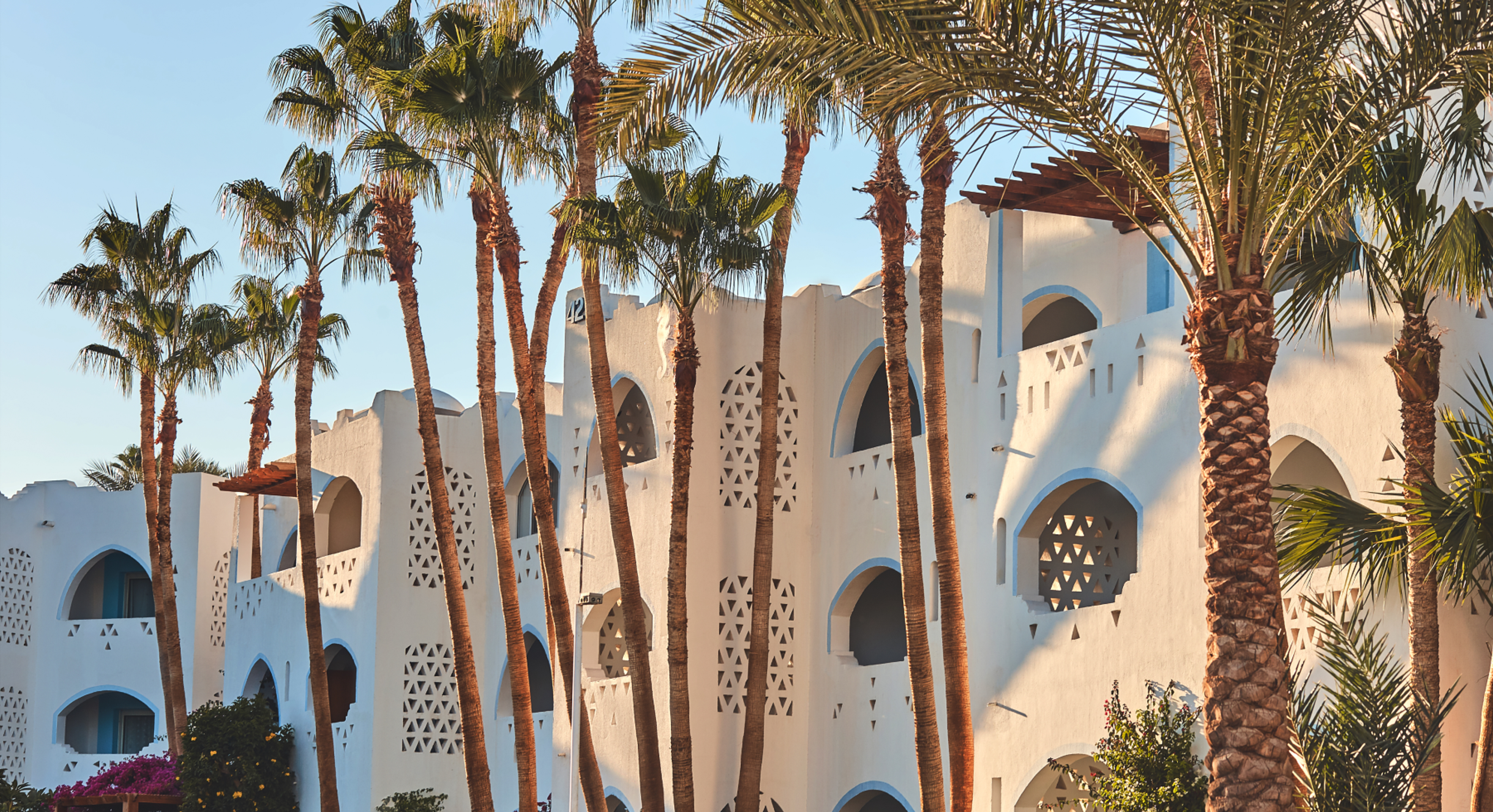 hotel-building-palms