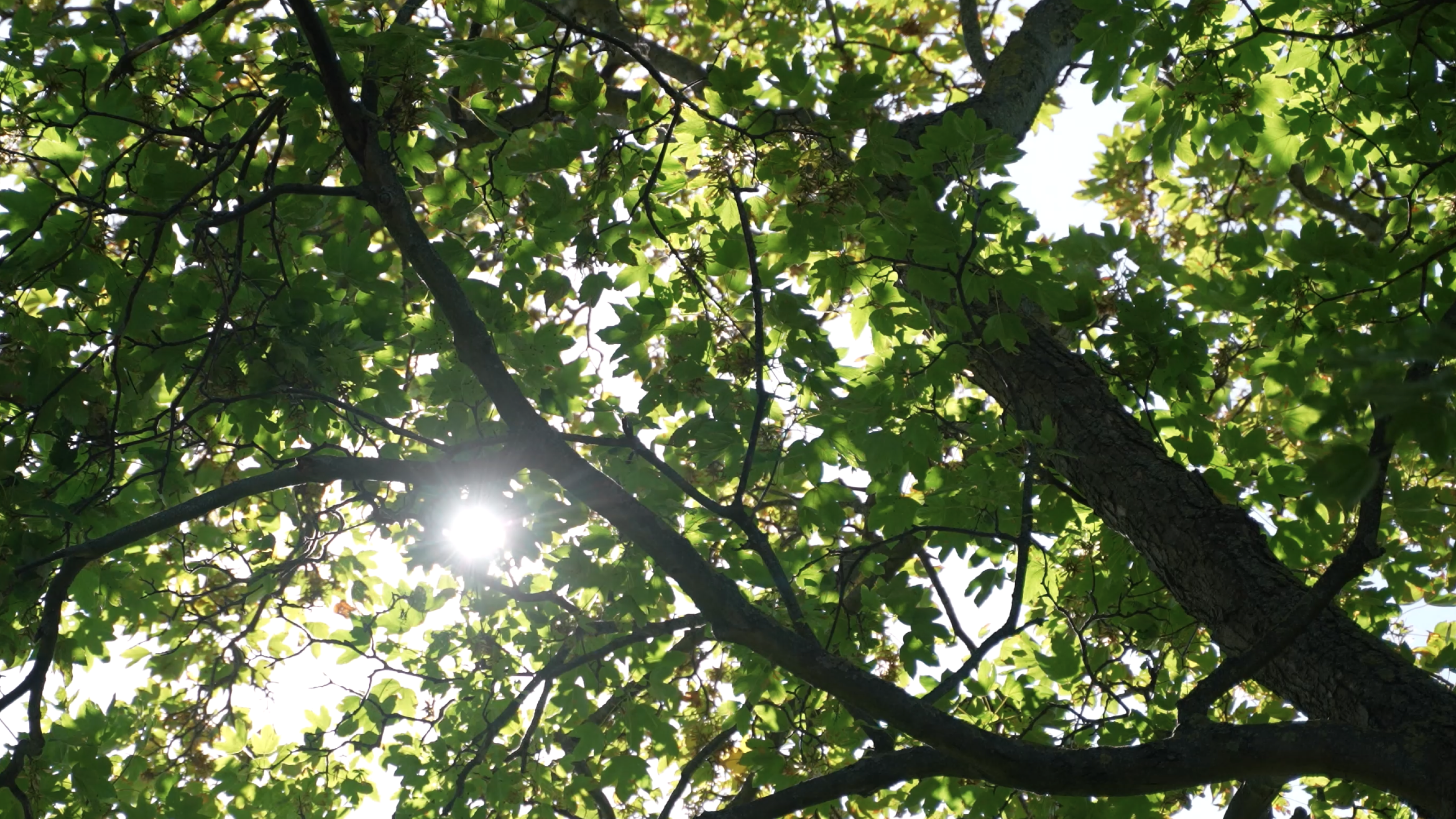 a sustainable direction