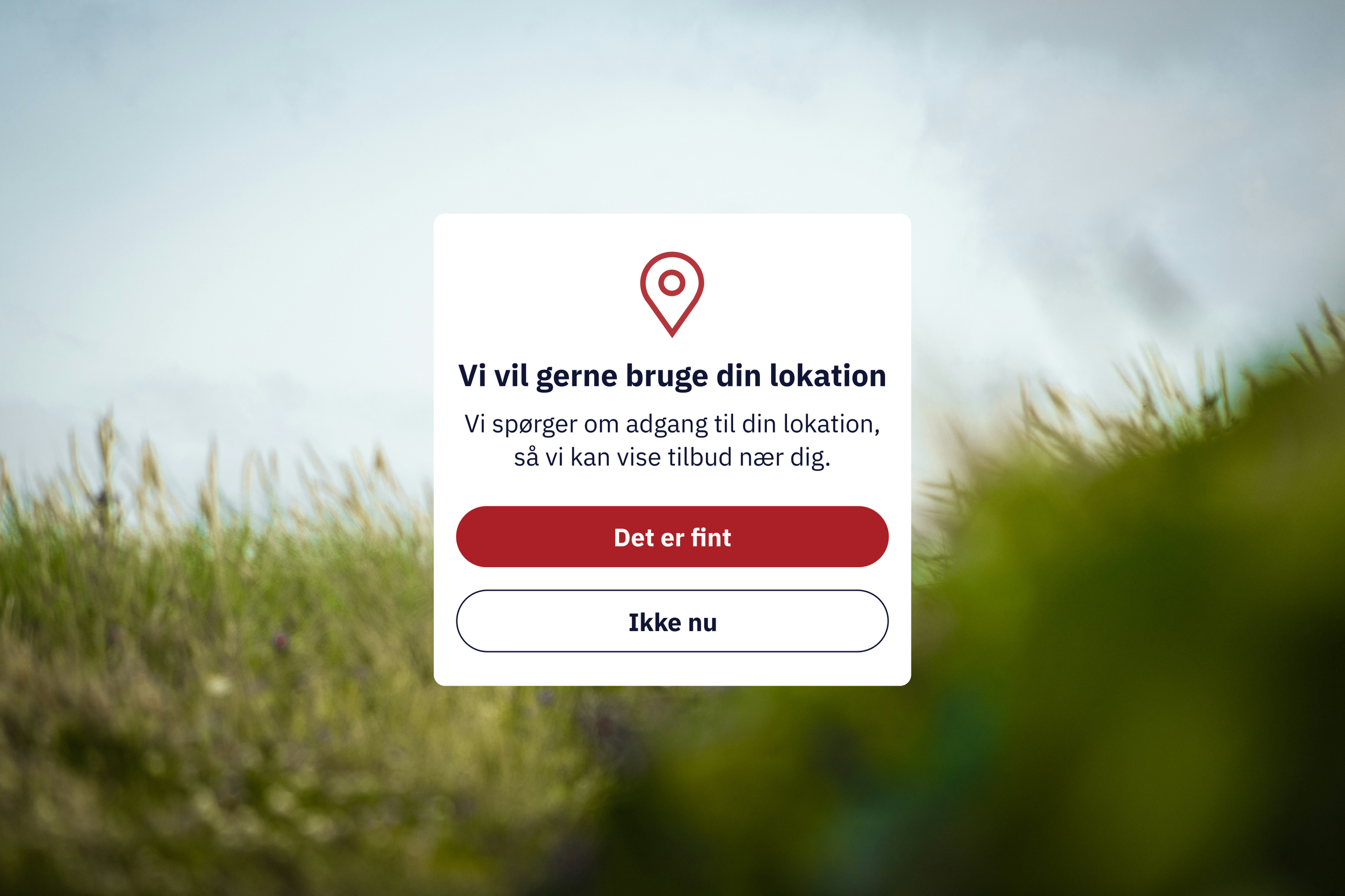 A scenic image with a backdrop of a grassy field and golden wheat under a clear blue sky. In the foreground, a  close-up screenshot of a smartphone screen displaying a location permission request. The request, written in Danish, asks the user if they would like to allow the app to access their current location. The message explains that by granting permission, the app will be able to display relevant offers and information based on the user's location. Two buttons are presented: 'Det er fint' (That's fine), encouraging the user to grant permission, and 'Ikke nu' (Not now), allowing the user to decline the request and continue using the app without location-based features.