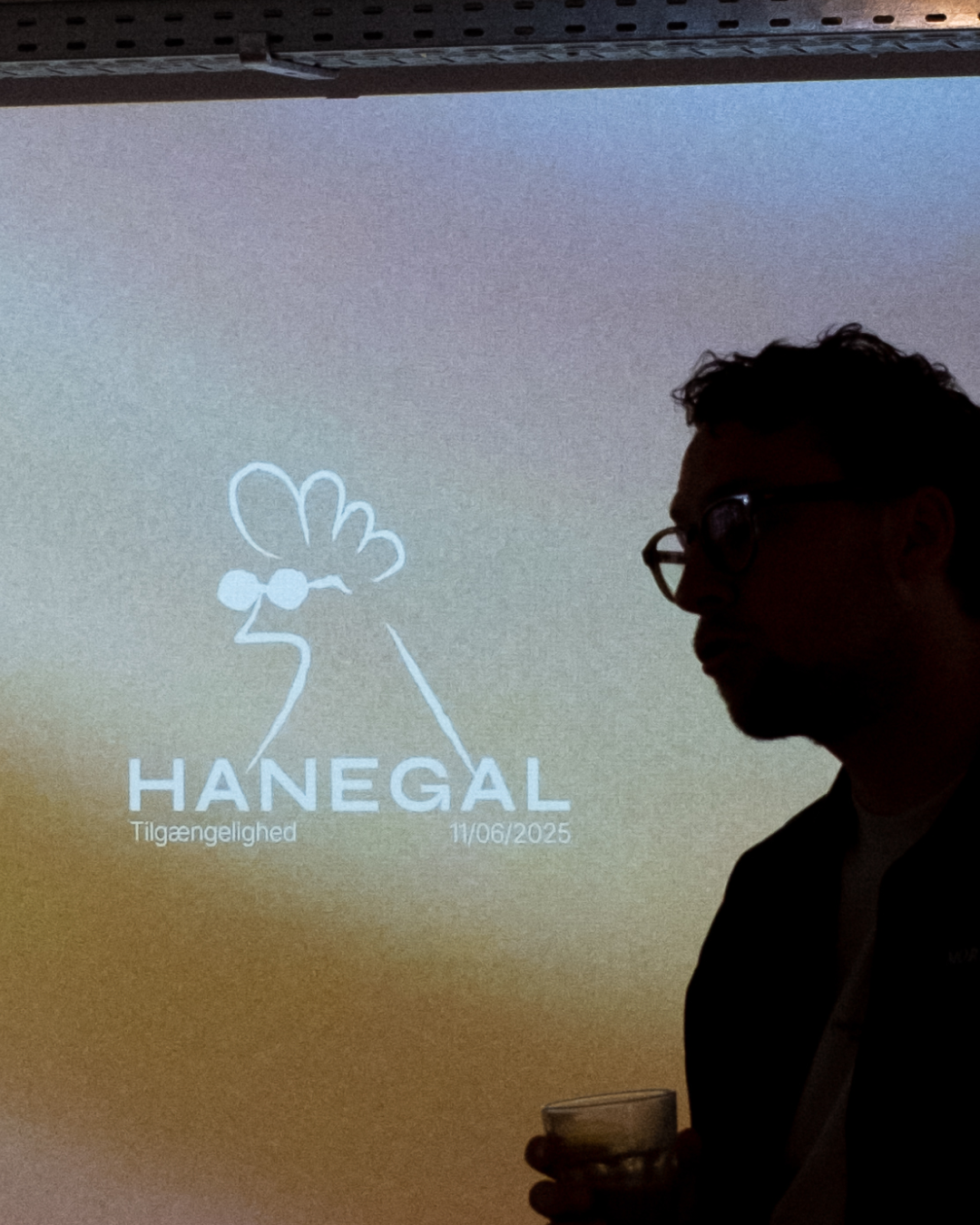 Hanegal accessibility event teaser image
