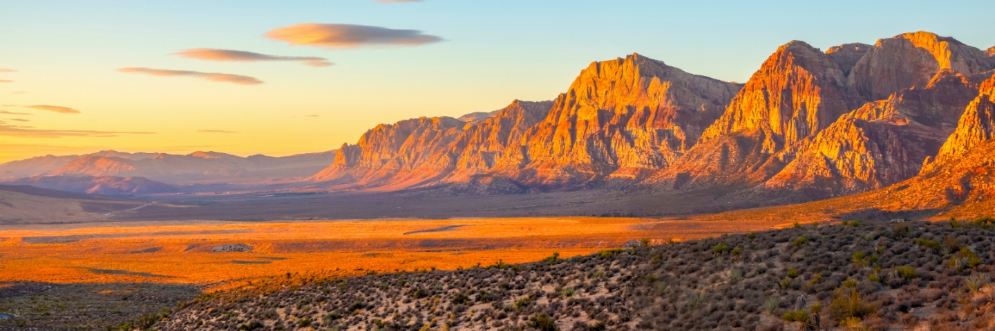 Delivering Exceptional Care in the Heart of Las Vegas