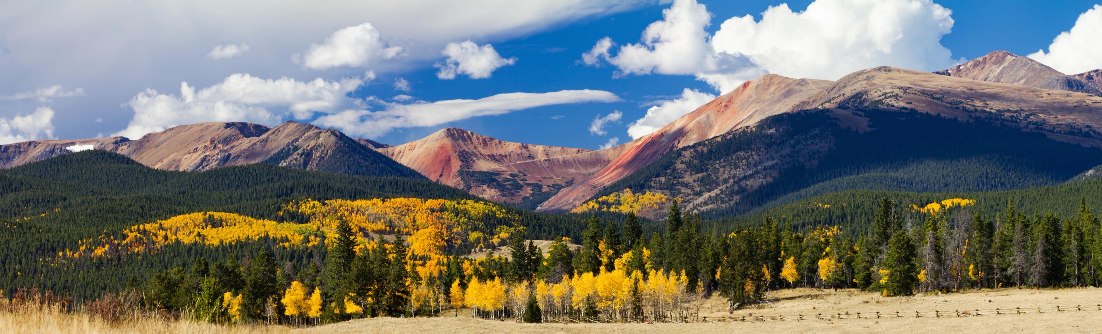 Anesthesia Elevated by innovation. Inspired by Colorado living.