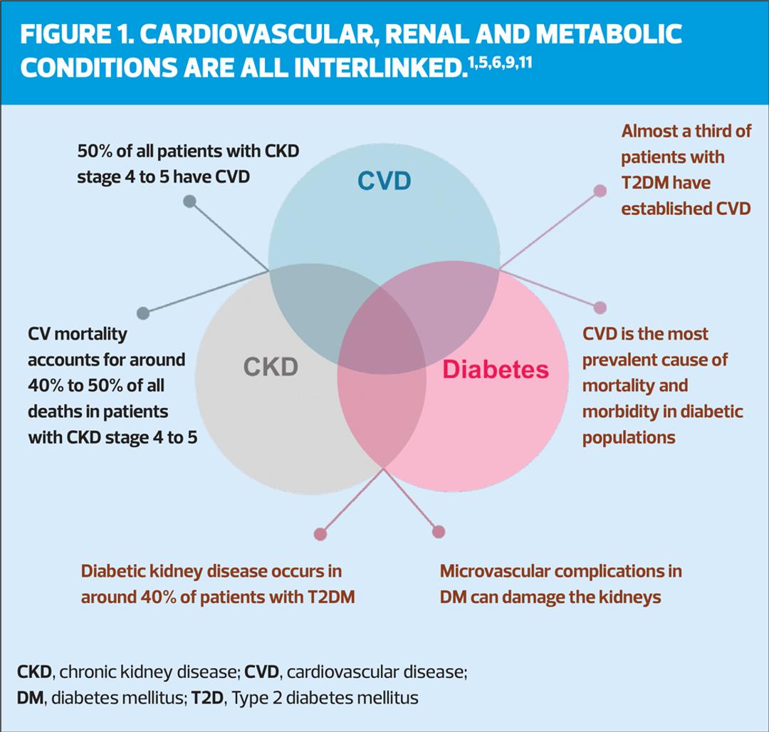 What links Cardiovascular-Renal-Metabolic conditions?