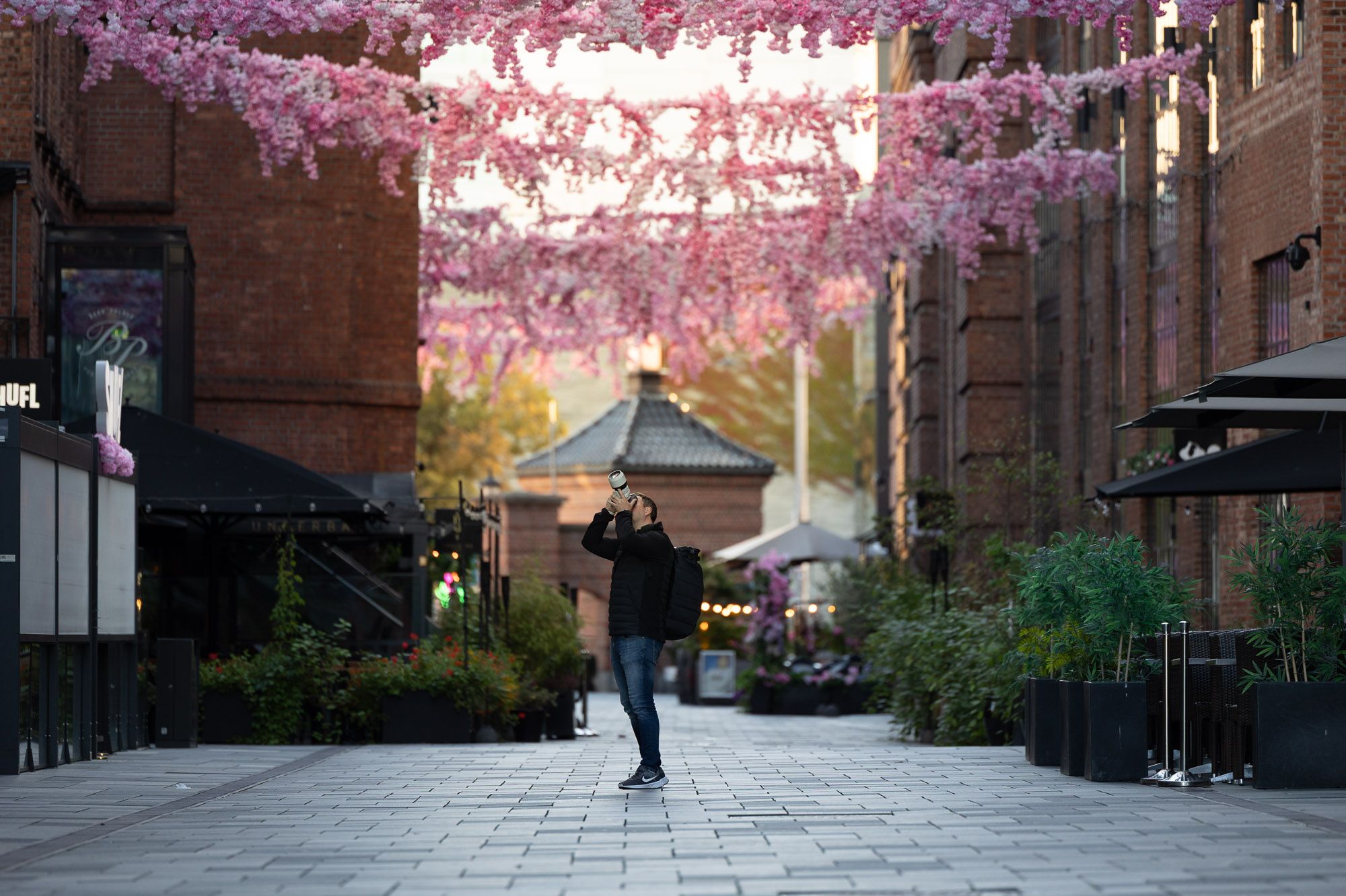 Person jogger i en brick-paved gateway omgitt av blomstrende magentafarget trær og historiske bygninger.