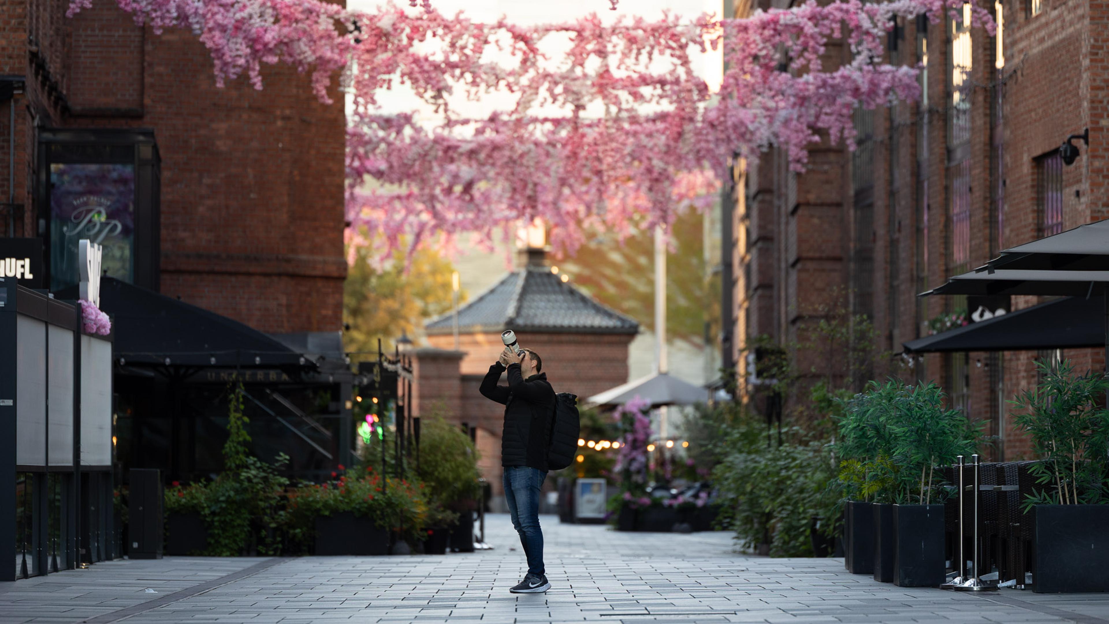 Person jogger i en brick-paved gateway omgitt av blomstrende magentafarget trær og historiske bygninger.