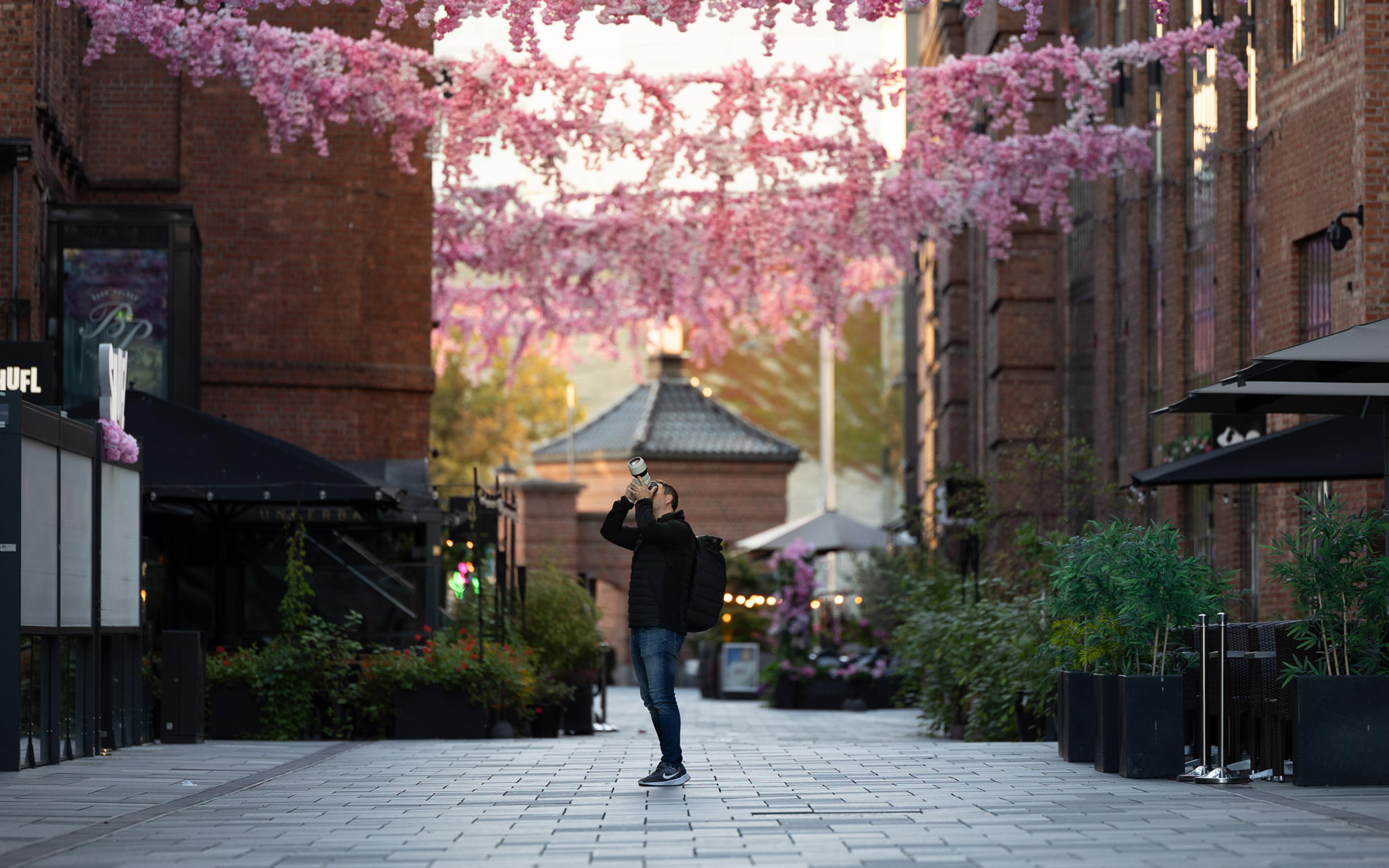 Person jogger i en brick-paved gateway omgitt av blomstrende magentafarget trær og historiske bygninger.