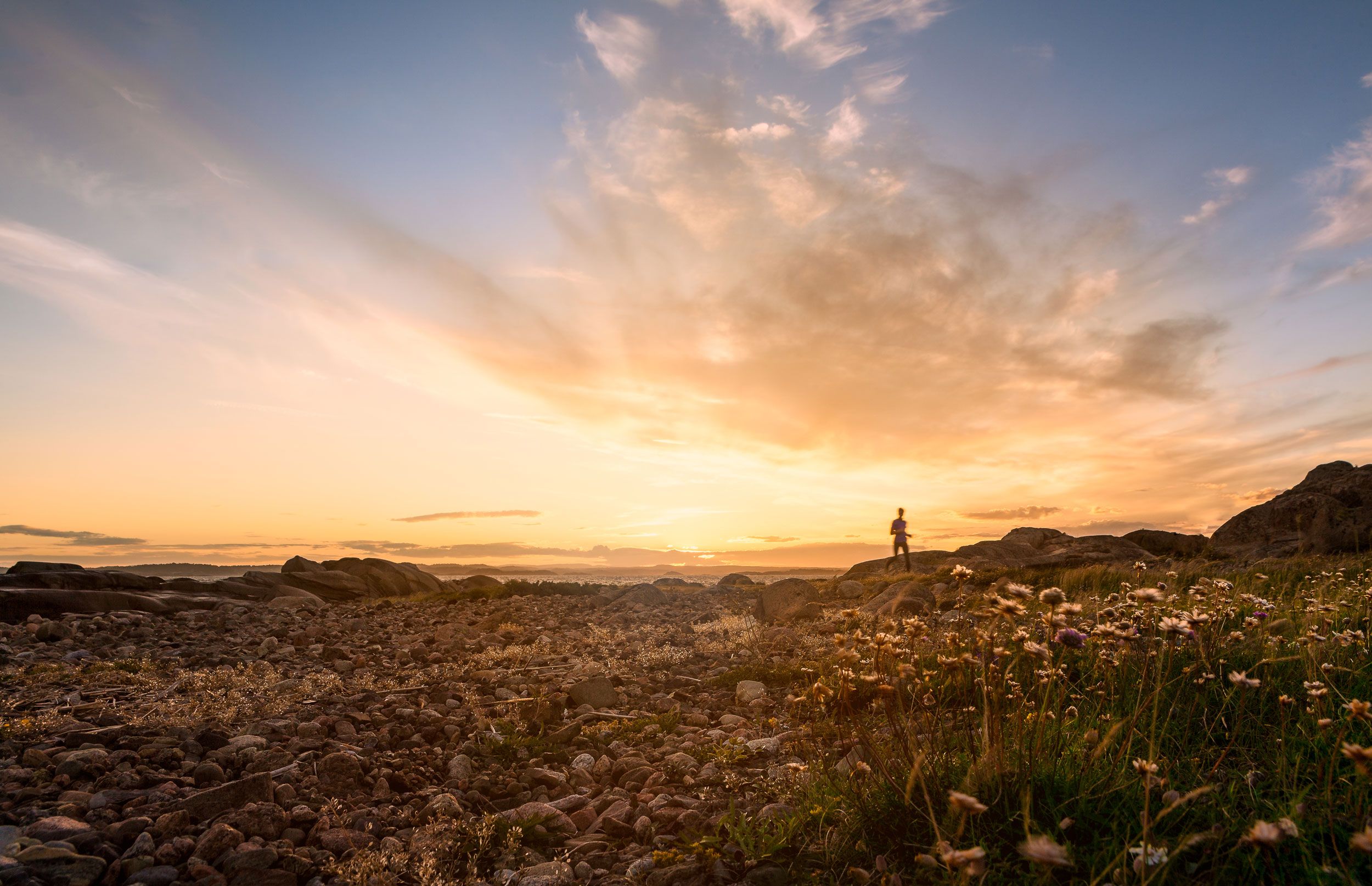 Person står på steinete strand med blomstrende urter ved solnedgang, fjell og hav i bakgrunnen.