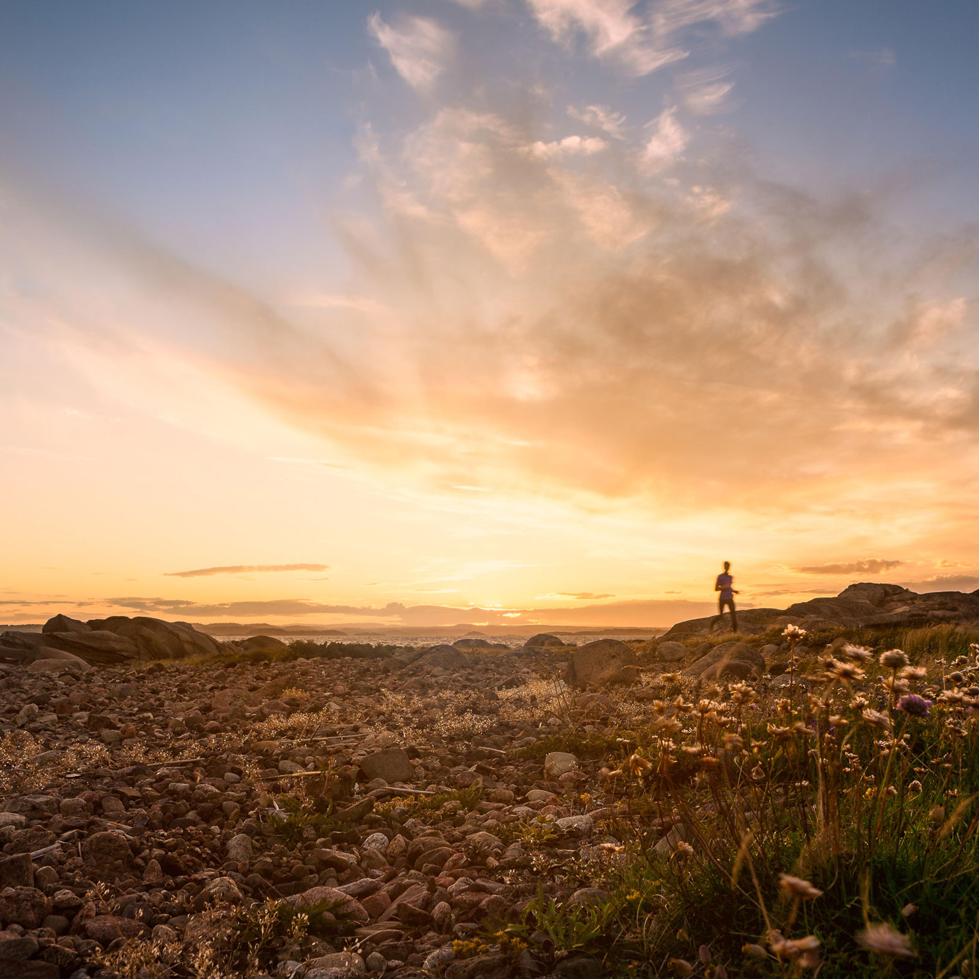 Person står på steinete strand med blomstrende urter ved solnedgang, fjell og hav i bakgrunnen.