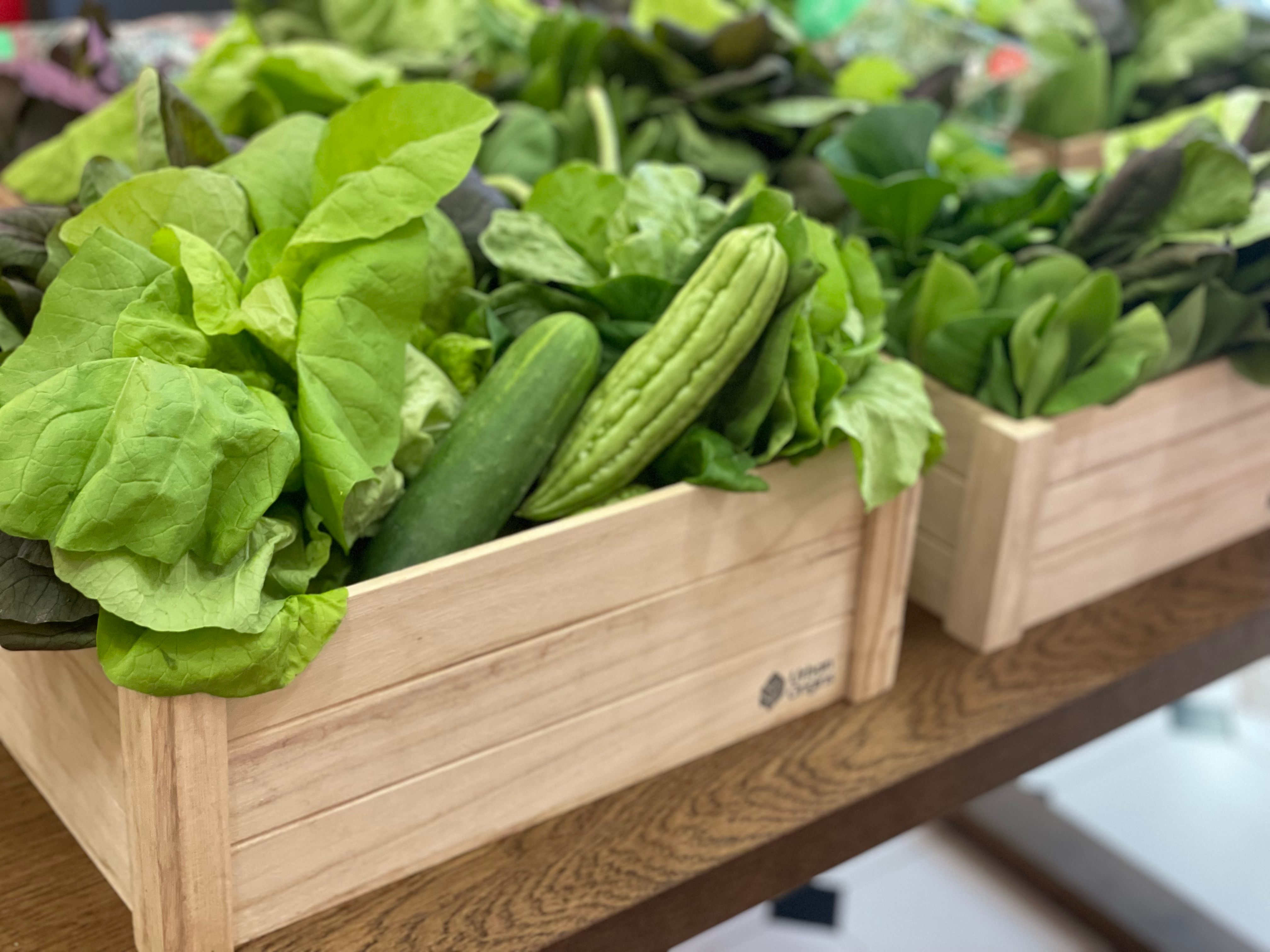 12 Reasons Why You Should Buy Local Produce in Singapore