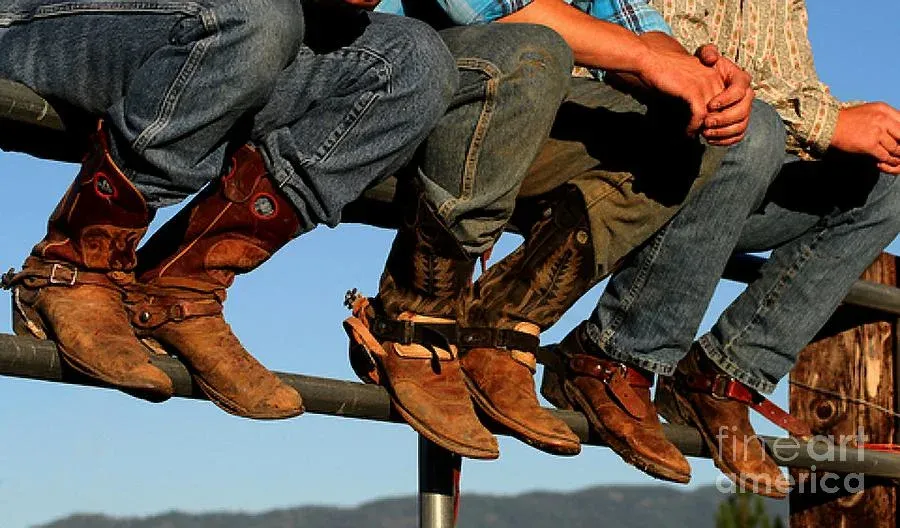 cowboys