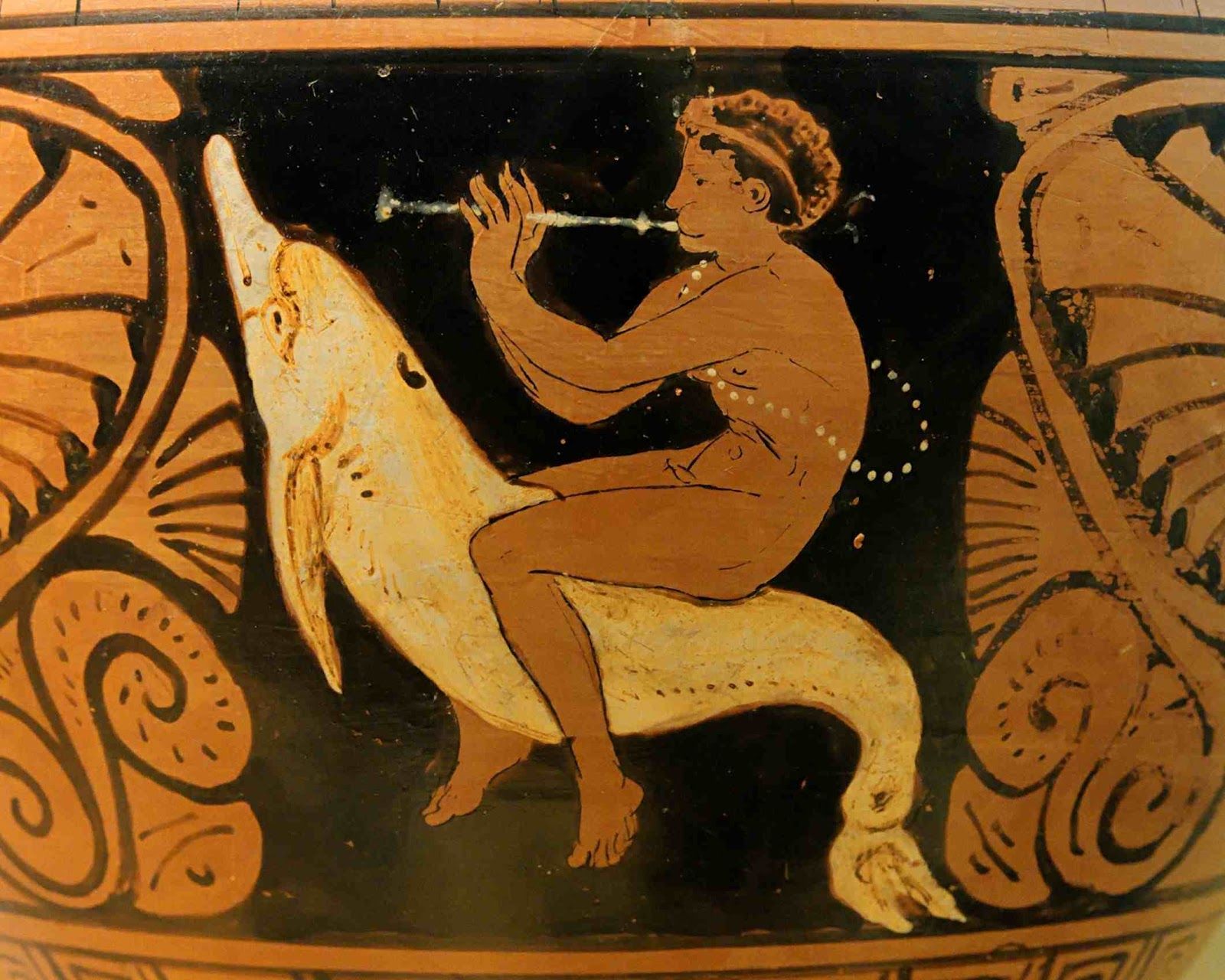Human_and_dolphin