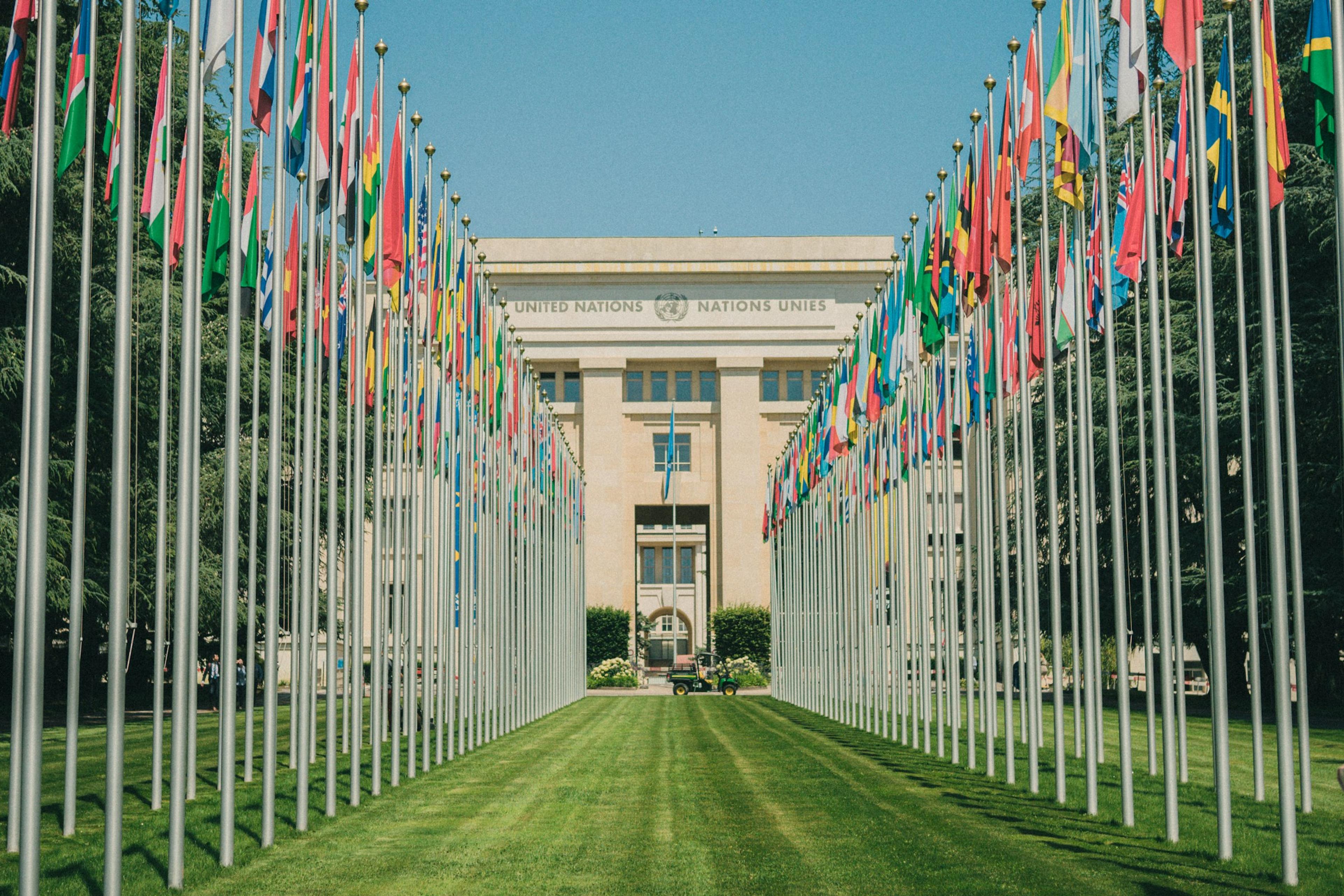 A long row of national flags in front of a building