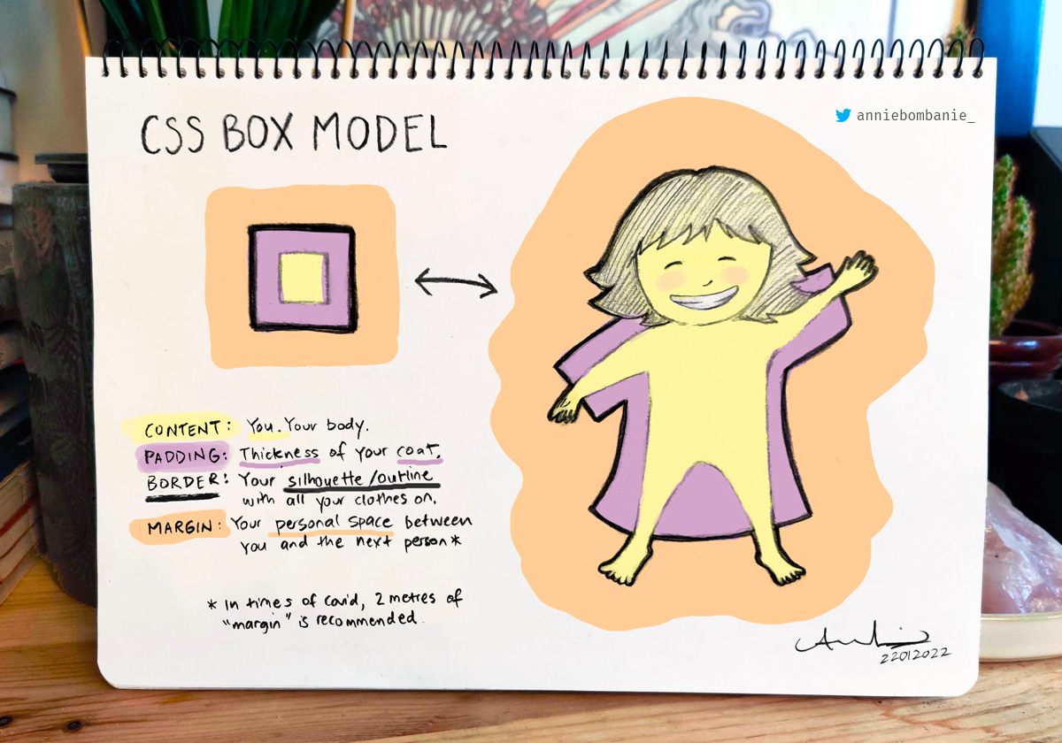 box model