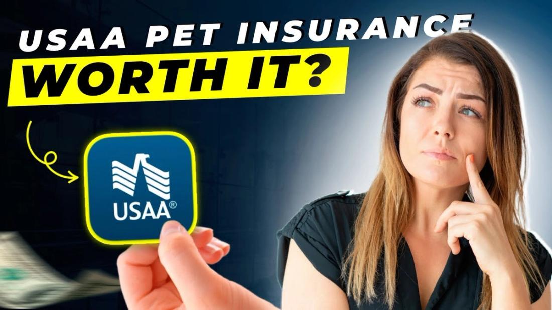 USAA Pet Insurance Review 2025 | Pros and Cons | Detailed Overview