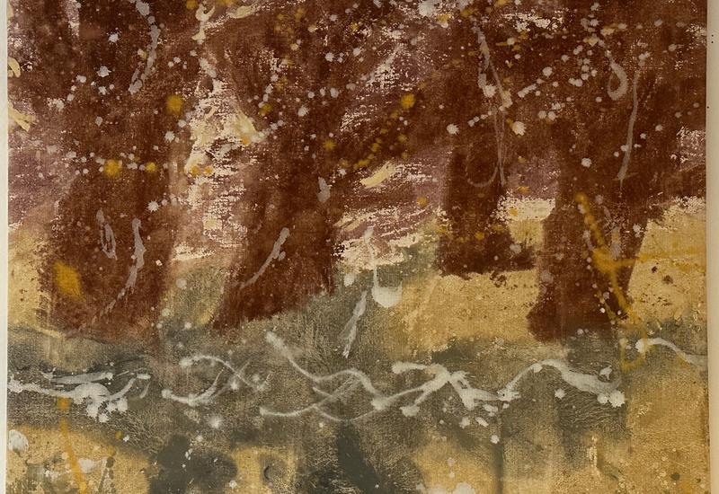 Alders by the flooding brook