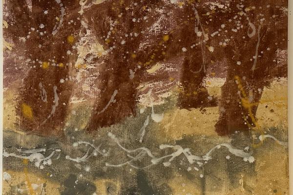 Alders by the flooding brook