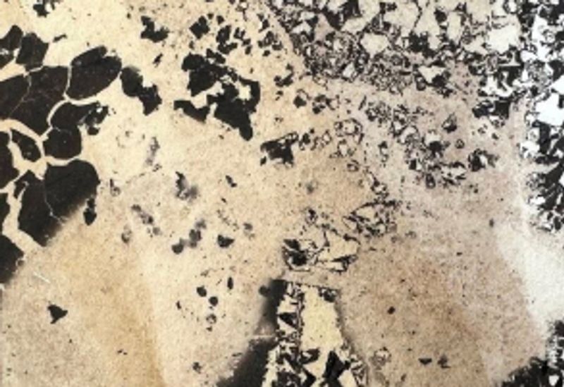 Haptic feedback device component of the smart home system