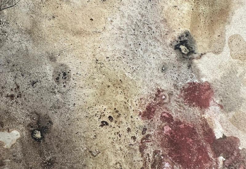 A picture of paints and inks made from natural pigments from plants and rocks