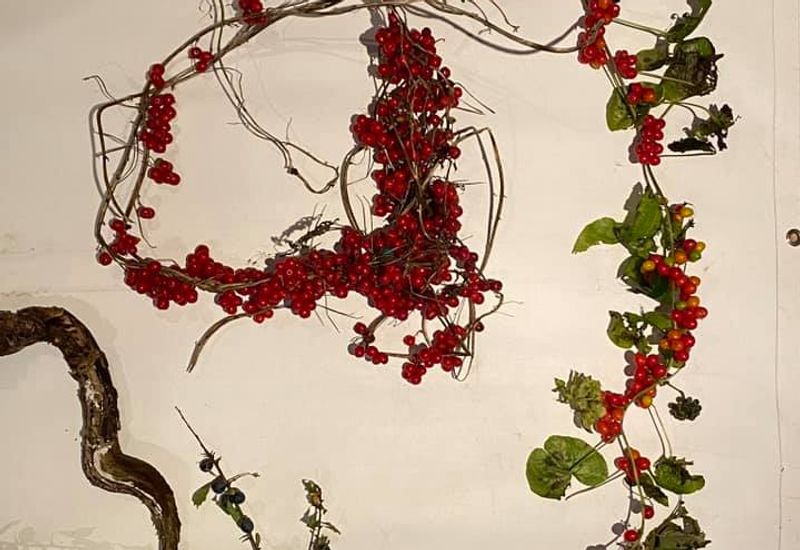 Paints and inks made from natural pigments from plants and rocks