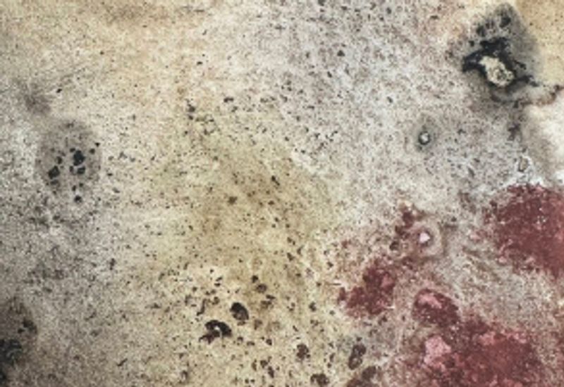 Dashboard showing analytics of voice command usage patterns