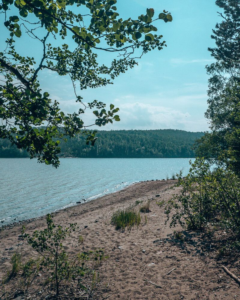 Beach skuleskogen national park