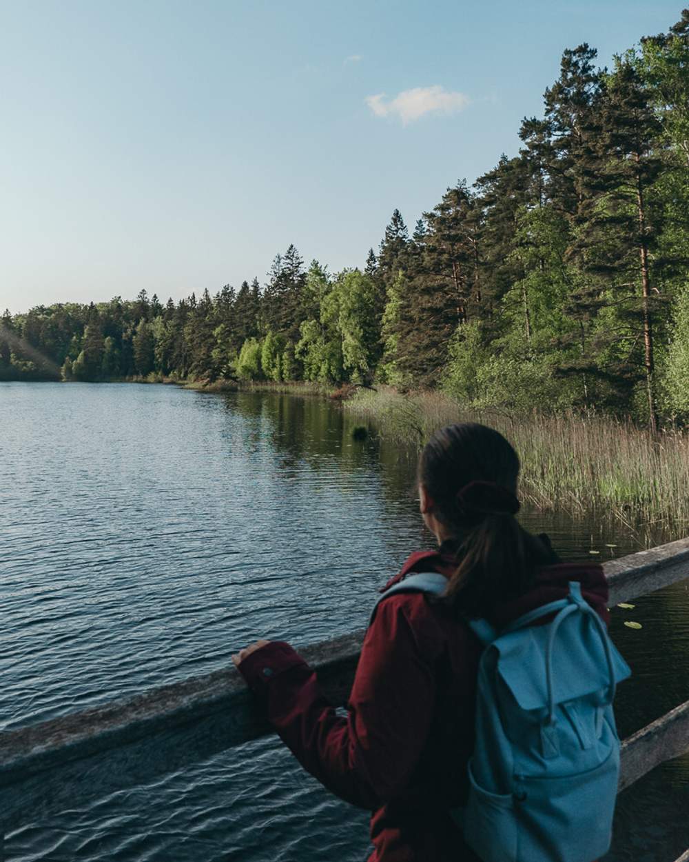 South Sweden Nature Trip
