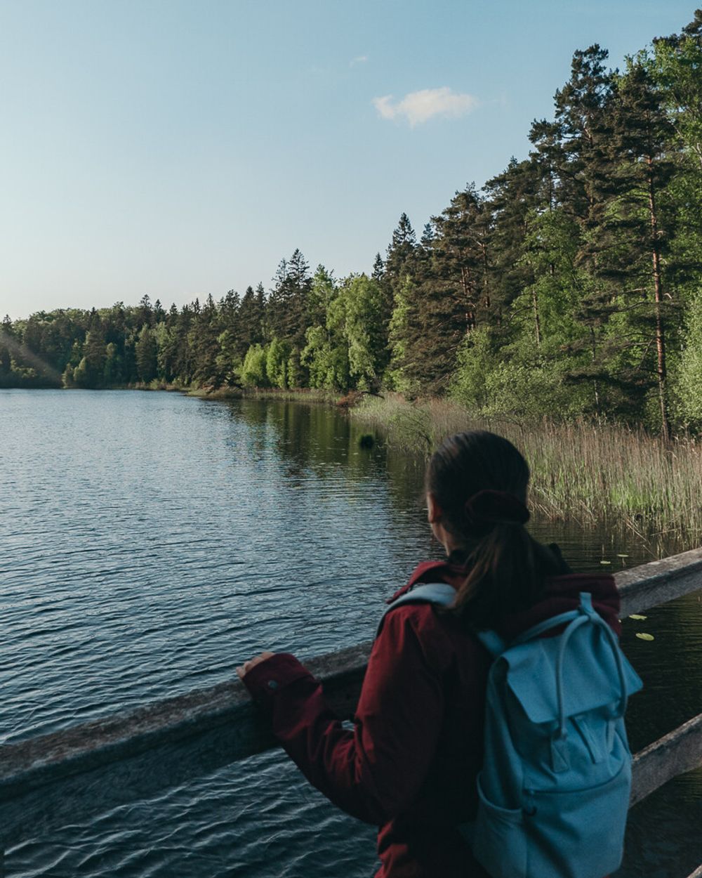 South Sweden Nature Trip