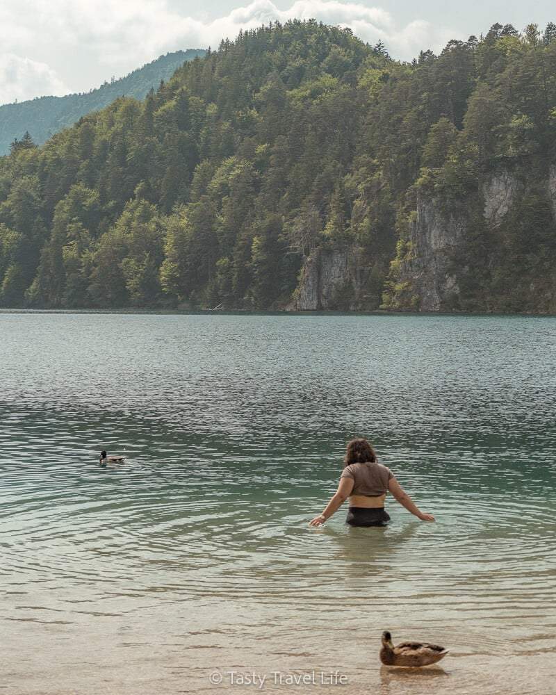 me swimming in the alpsee with ducks