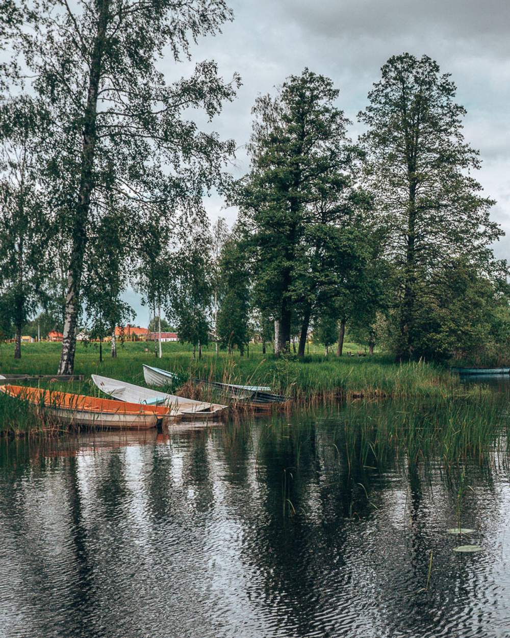 boats in the water