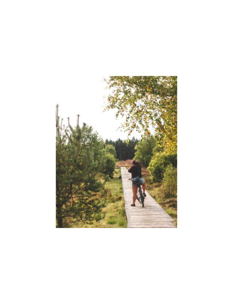 wooden paths over marsh around lac de charpal lozere