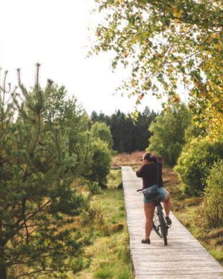 wooden paths over marsh around lac de charpal lozere
