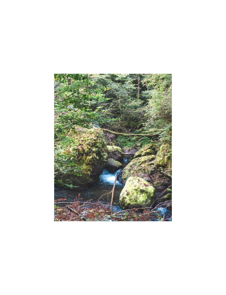 water flowing in gorge