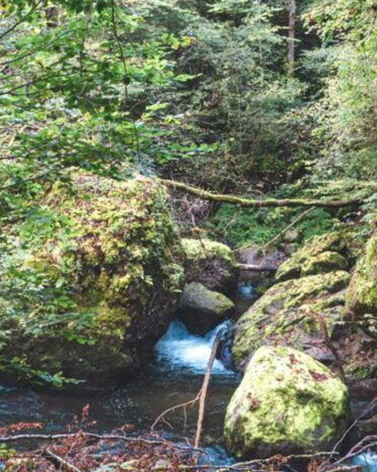 water flowing in gorge
