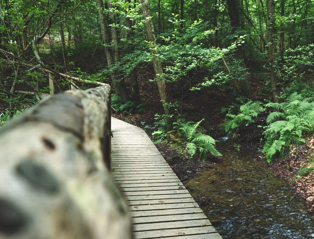 Hidden secret hike Lac de la Gileppe