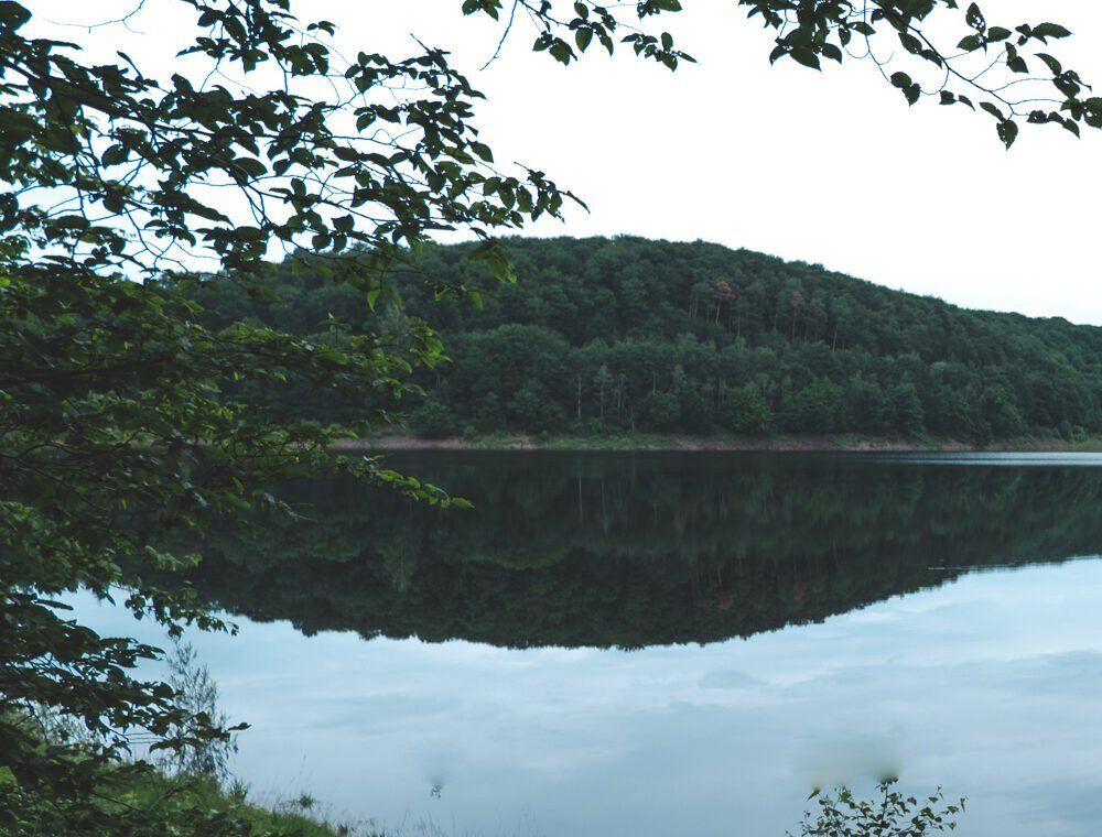 Reflet au lac de la Gileppe