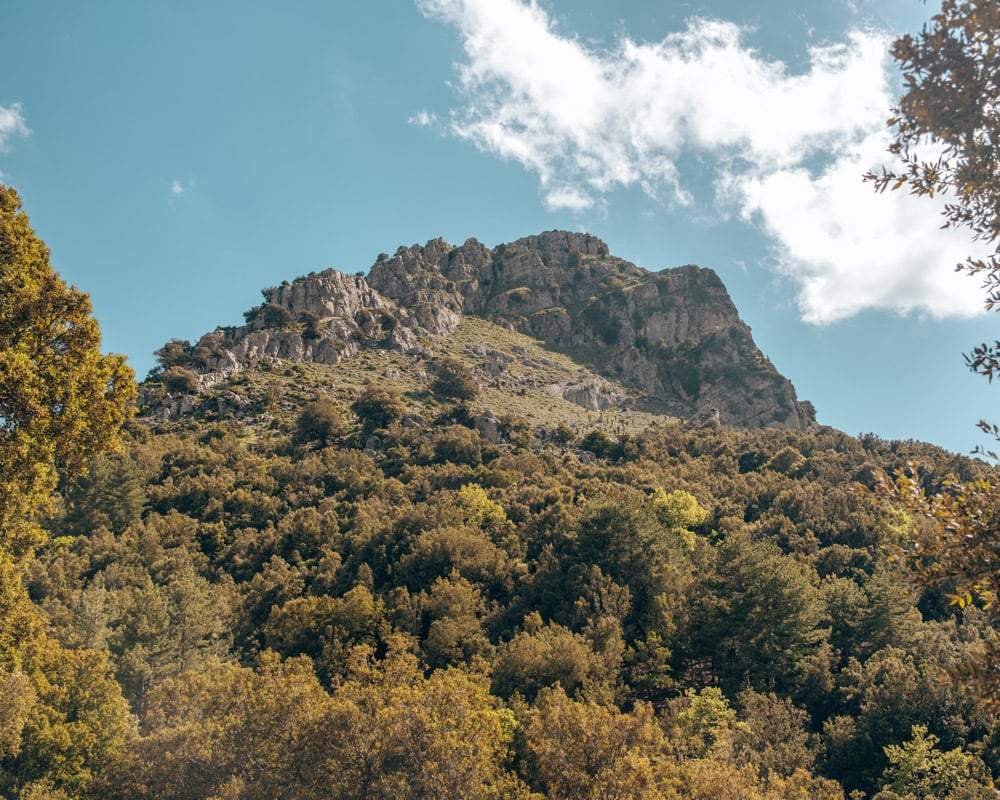 Monte Fumai in Nationaal Park Gennargentu met bomen op de voorgrond en rotsen op de top.