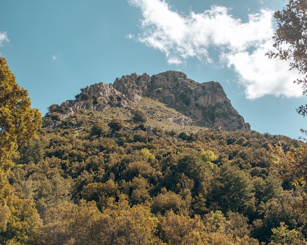 Monte Fumai in Nationaal Park Gennargentu met bomen op de voorgrond en rotsen op de top.