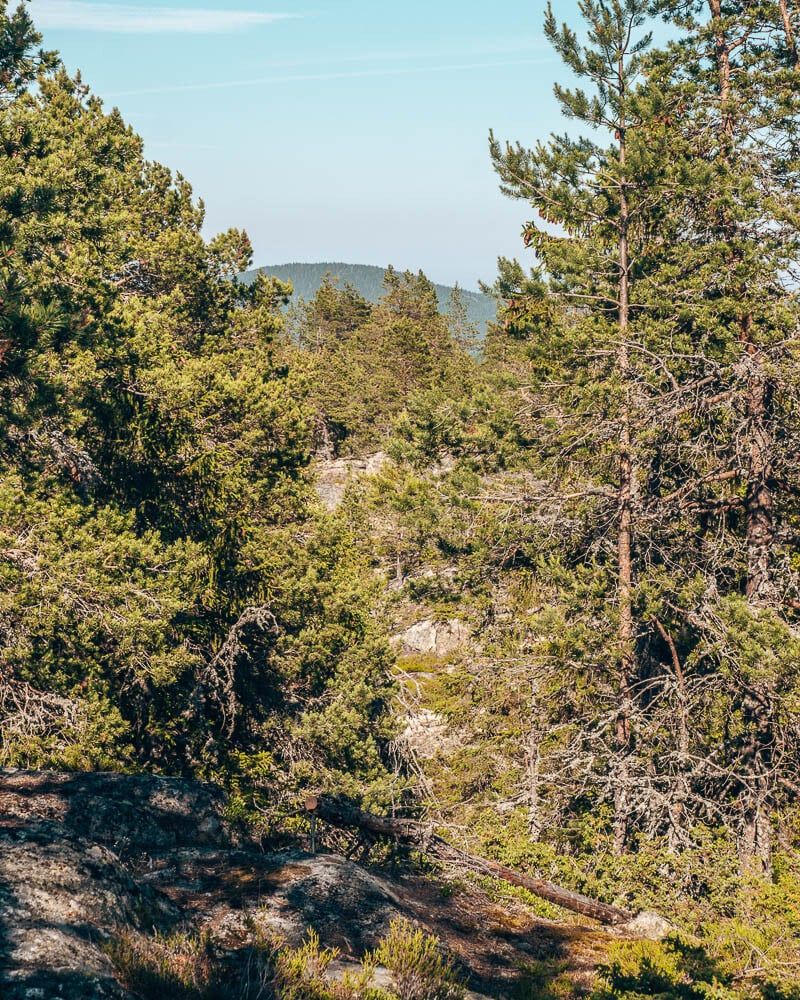 Valkallen hike