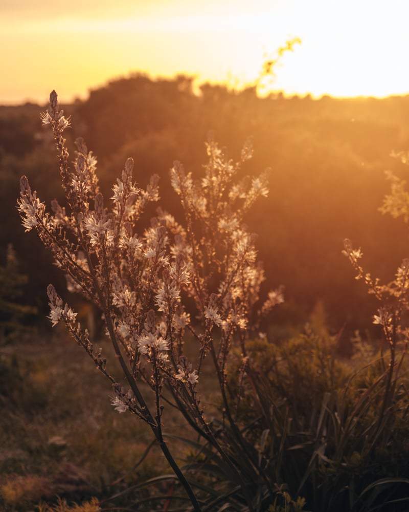 Zonsondergang in nationaal park Gennargentu