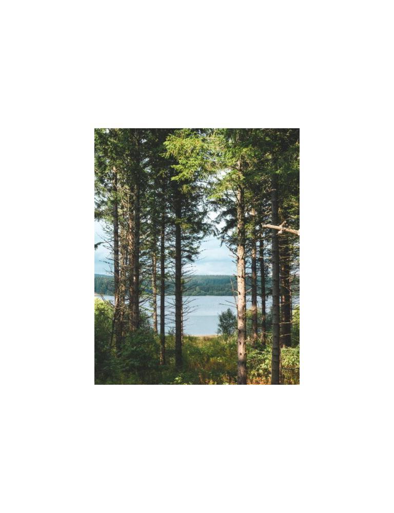 lac de charpal through the forest 