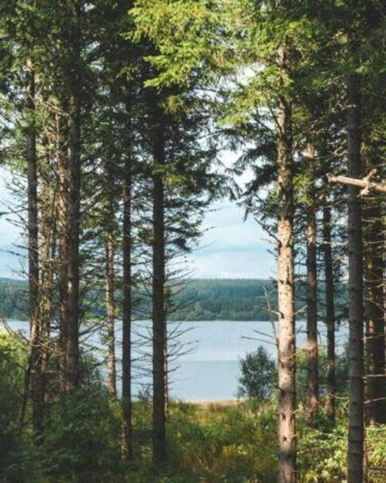 lac de charpal through the forest