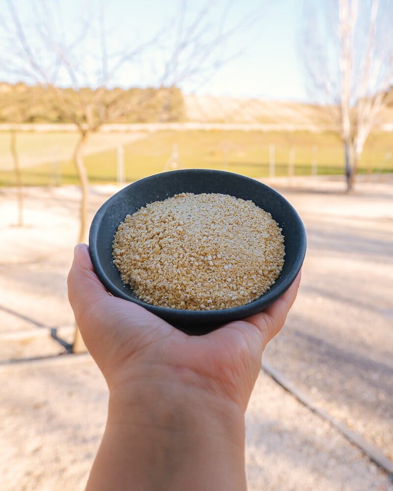 parmesan végétalien facile