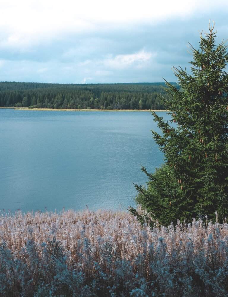 Lac de Charpal lozere
