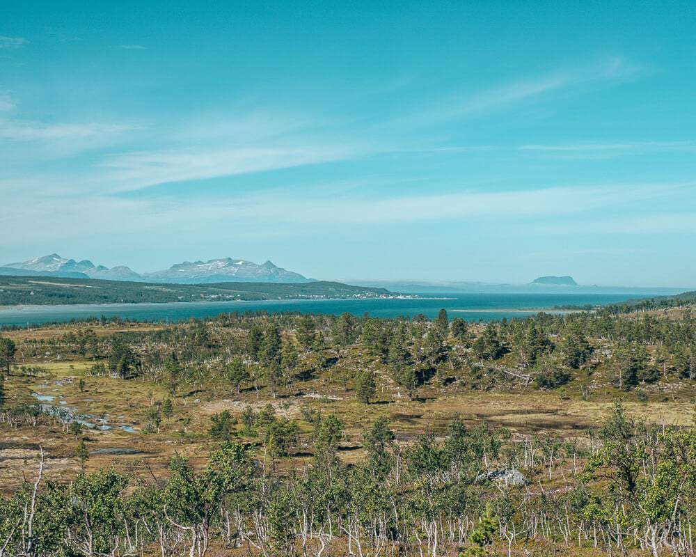 view from trail